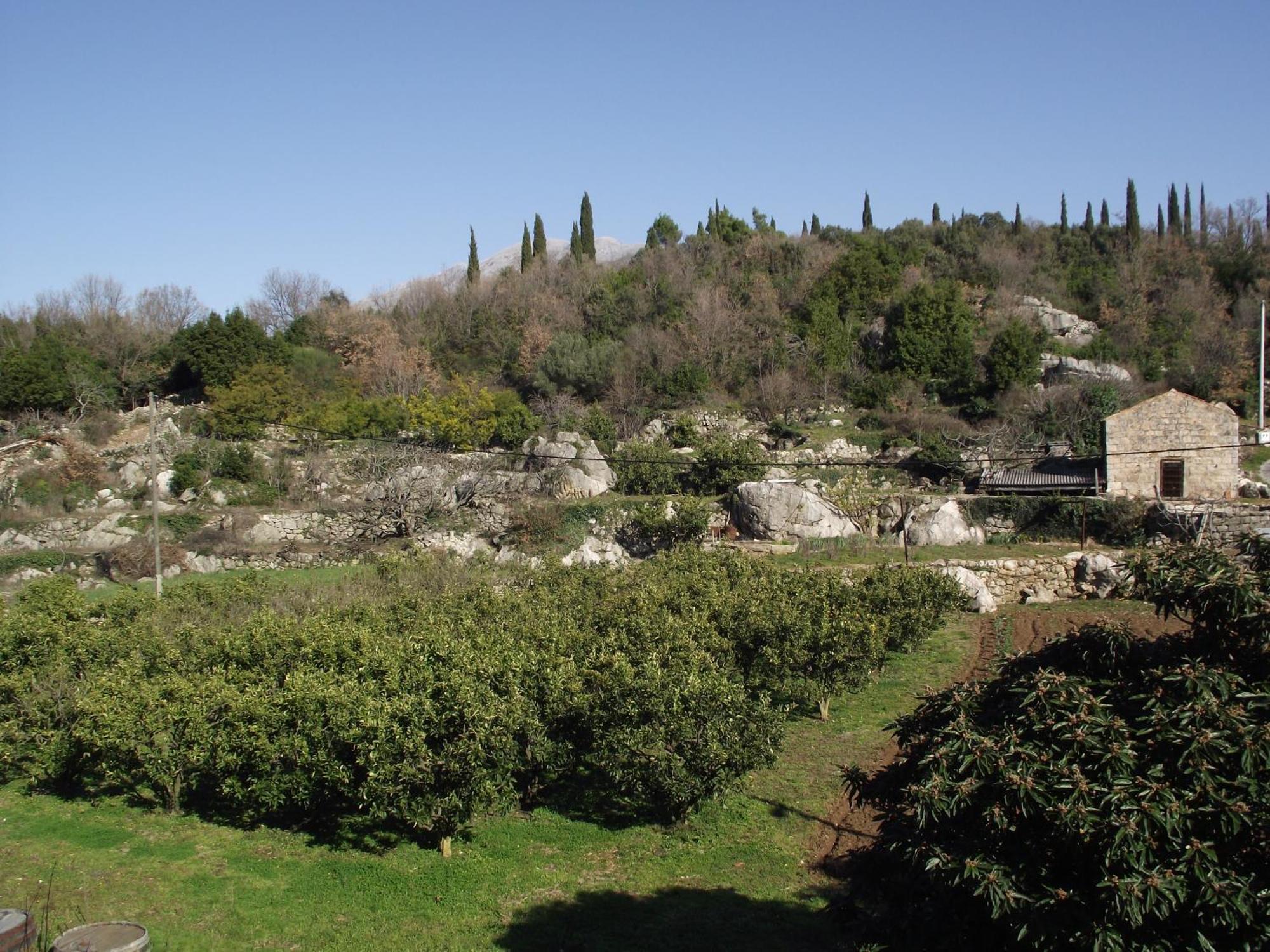 Konavle Apartments Zlatovisce Gruda Bagian luar foto