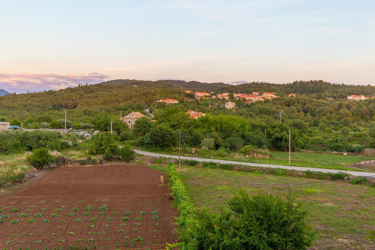 Konavle Apartments Zlatovisce Gruda Bagian luar foto